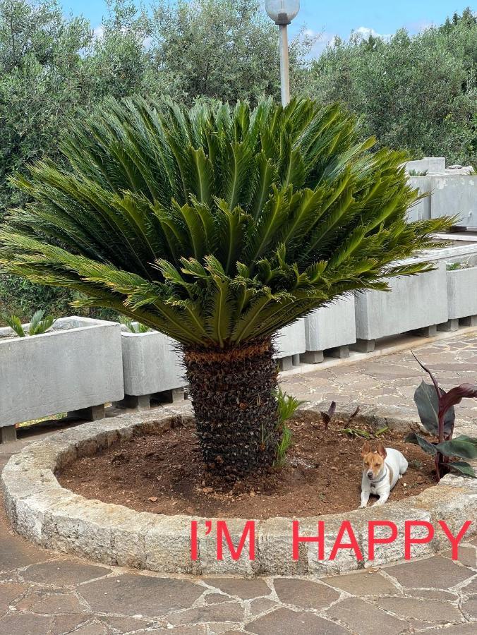 Happy'S Casa Otel Putignano Dış mekan fotoğraf